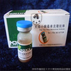 犬细小病毒的治疗_狗患了细小病毒怎么治-警犬训练器材厂家 _警犬训练用品_工作犬训练用品-南京开久警犬装备