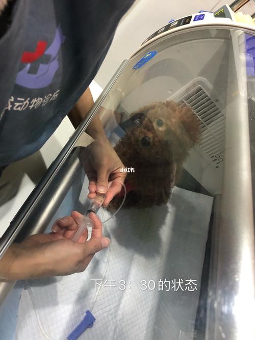 20221118193615_43268 20221118193615_43268