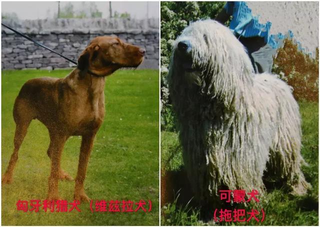 20221118193908_77844 20221118193908_77844