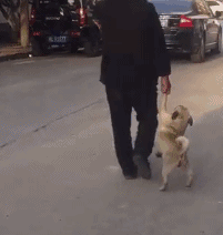 20221118194139_29545