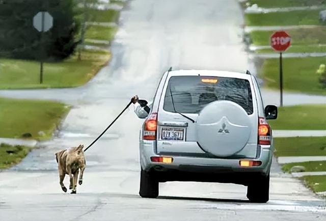 20221118194140_91564