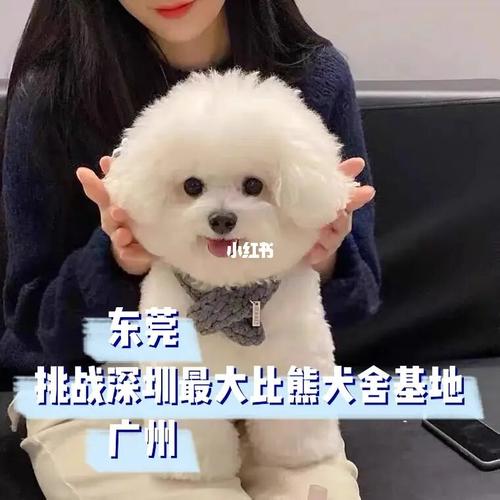 20221119084741_96434