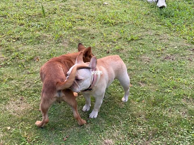 20221119084829_26770 20221119084829_26770