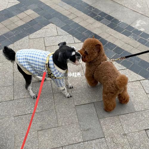 20221119084830_35787 20221119084830_35787