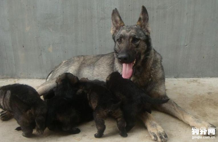 20221119090903_43265 20221119090903_43265