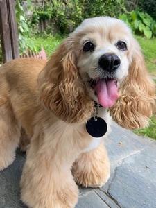 20221119091320_80677