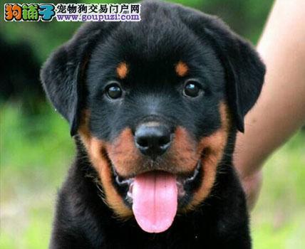 20221119092331_73821