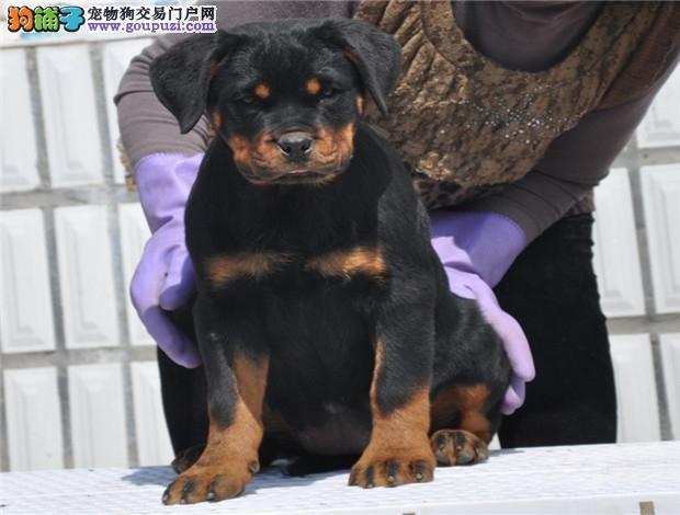 20221119092331_98788