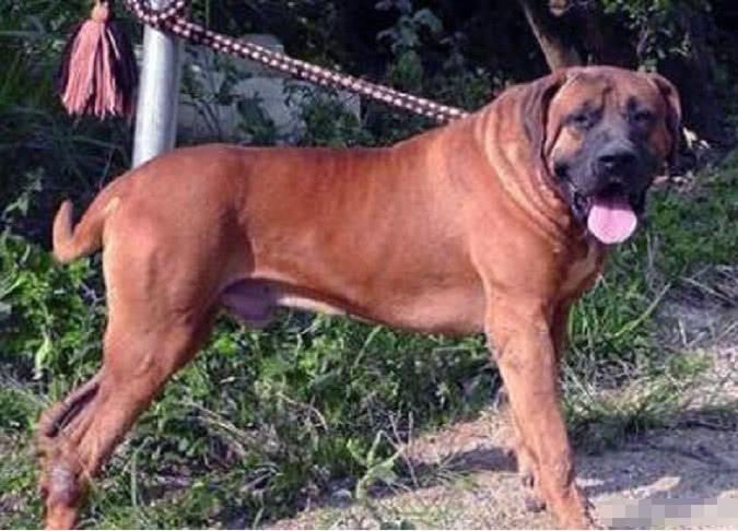 20221119092537_37008