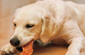 怎样在家轻松给狗狗做自制狗粮成犬饲养-警犬训练器材厂家 _警犬训练用品_工作犬训练用品-南京开久警犬装备