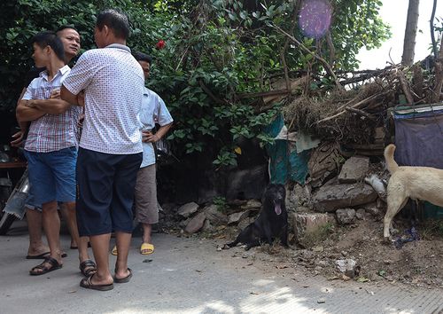 20221119094842_70939 20221119094842_70939