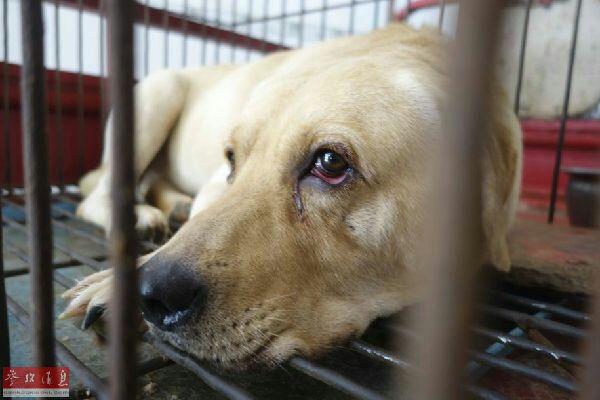 20221119094842_91871 20221119094842_91871