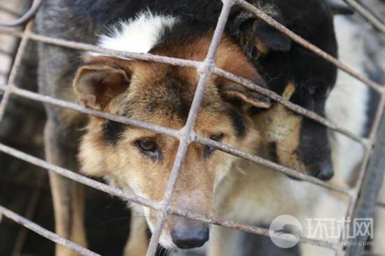 20221119094843_39098 20221119094843_39098