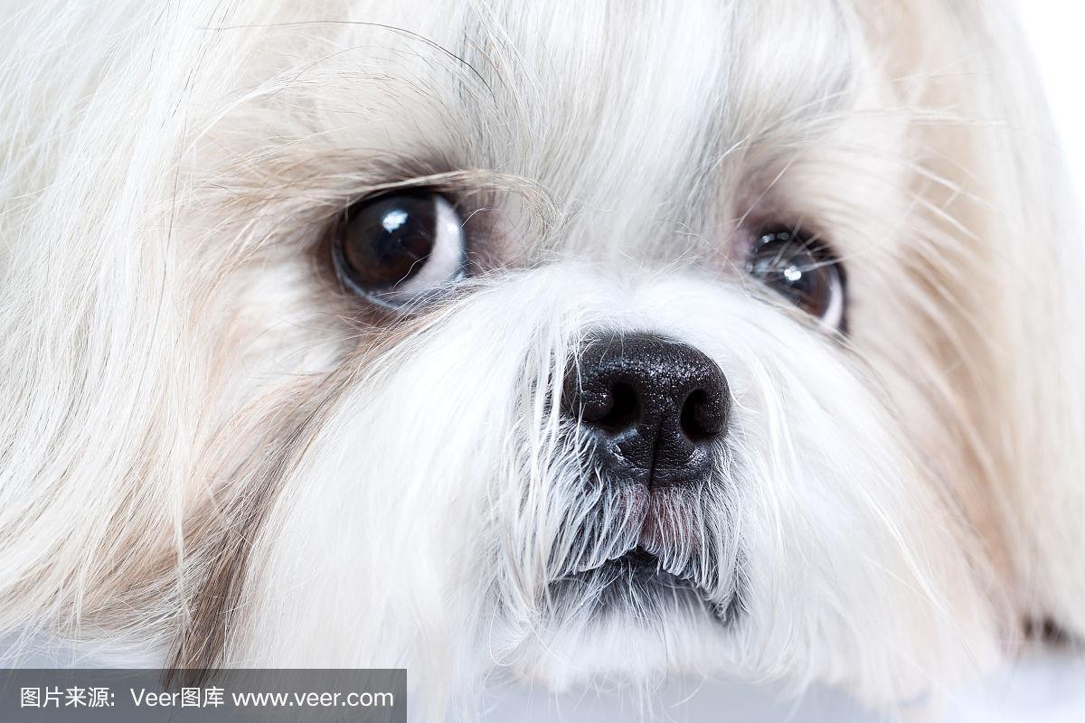 20221119100200_27141