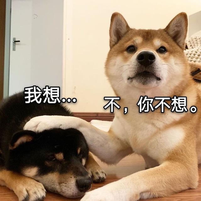 20221119100626_54614 20221119100626_54614