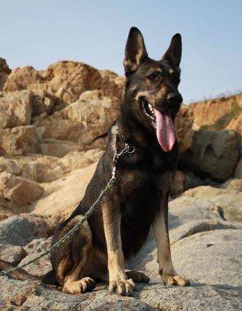 20221119102009_13385 20221119102009_13385