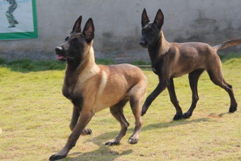 20221119102010_12441 20221119102010_12441