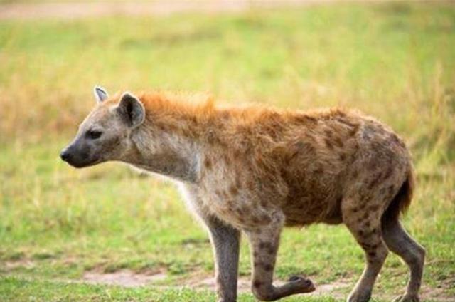 20221119102854_51802 20221119102854_51802