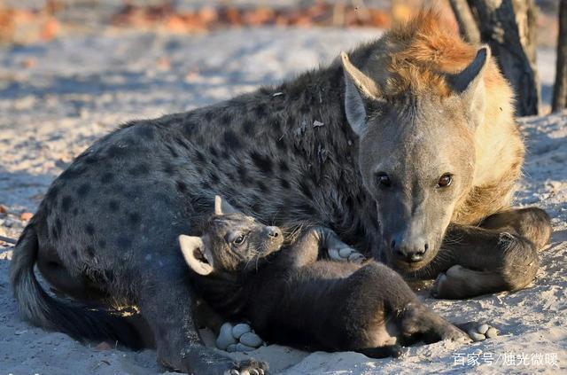 20221119102854_68406 20221119102854_68406