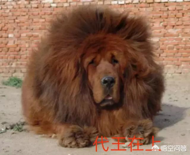 20221119104259_61433