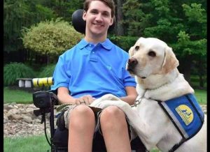 狗过生日给狗买什么东西？属狗过生日发什么 ***-警犬训练器材厂家 _警犬训练用品_工作犬训练用品-南京开久警犬装备