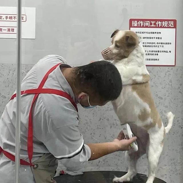 20221119110359_26537