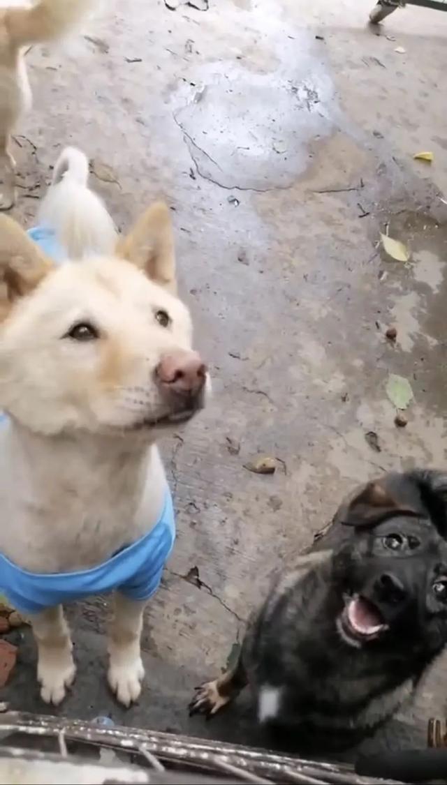 20221119110359_57701