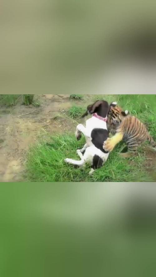 20221119111516_43956 20221119111516_43956