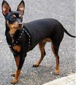 20221119111849_56045