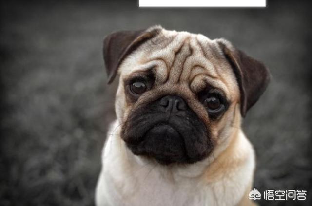 20221119111850_89563