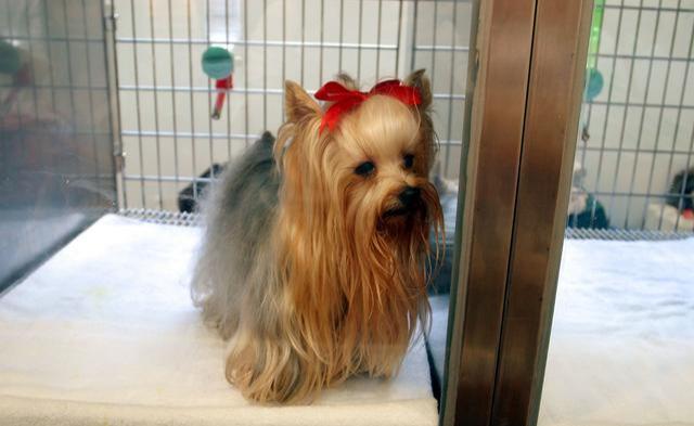 20221119112334_32177