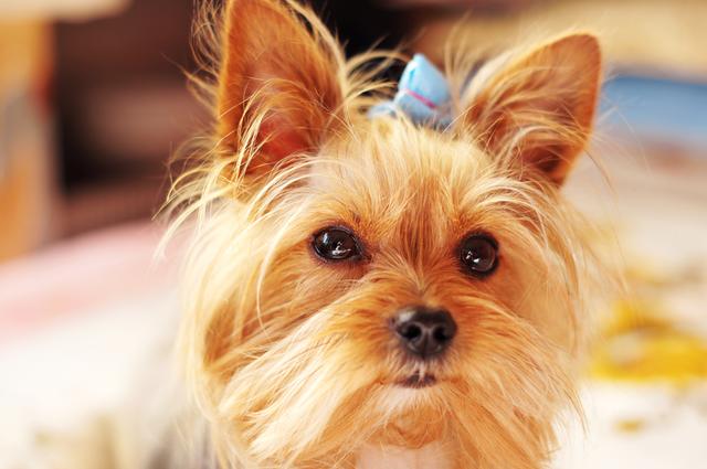 20221119112335_26917