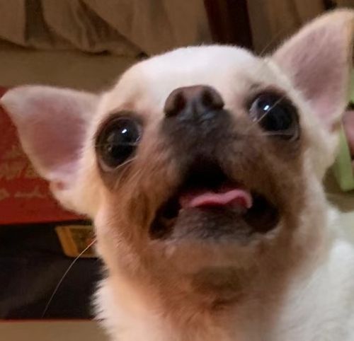 20221119112835_22736