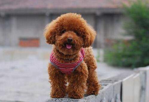 20221119113610_50647