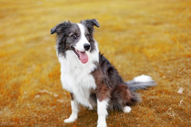 20221119113829_26529