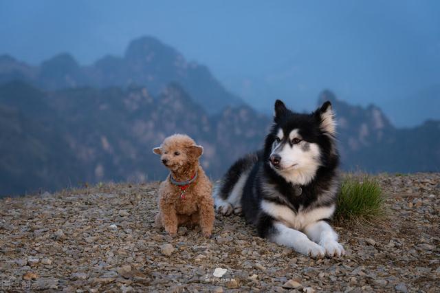 20221119113830_48346