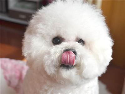 20221119114847_96888