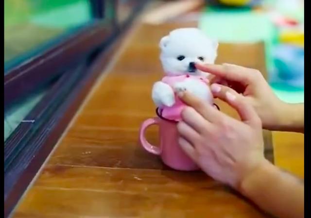 20221119115104_37637 20221119115104_37637