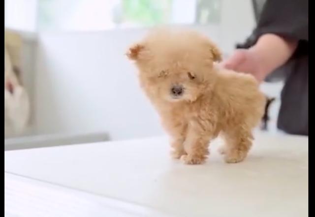 20221119115105_46594 20221119115105_46594