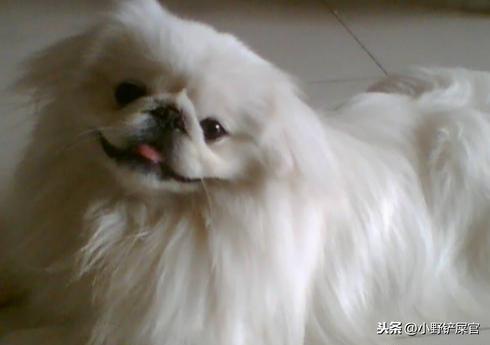 20221119115736_20107