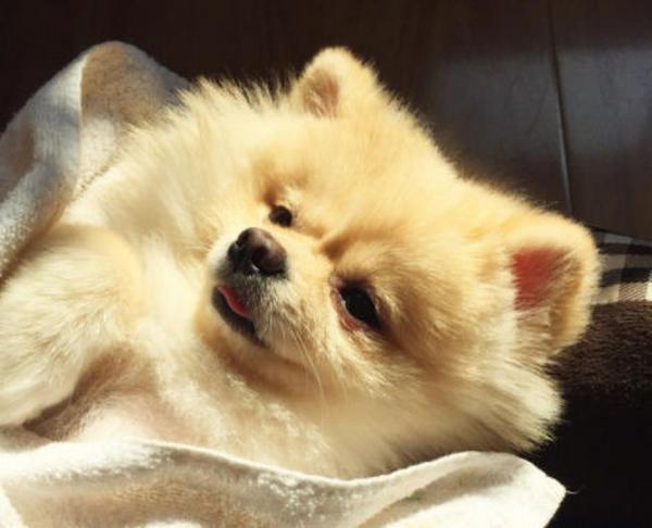 20221119125014_24159 20221119125014_24159