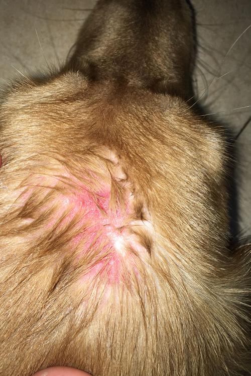 20221119125502_19126 20221119125502_19126