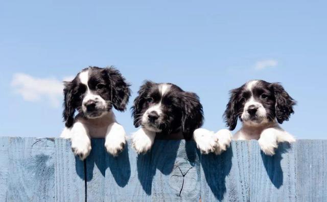 20221119130825_72497