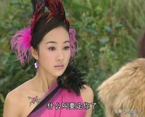 哮天犬和相思萌宠(韩雪相思和哮天犬)-警犬训练器材厂家 _警犬训练用品_工作犬训练用品-南京开久警犬装备