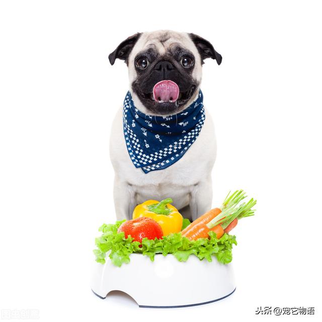 20221119133202_32579