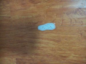 我家银狐犬不知道为什么口吐白沫-警犬训练器材厂家 _警犬训练用品_工作犬训练用品-南京开久警犬装备