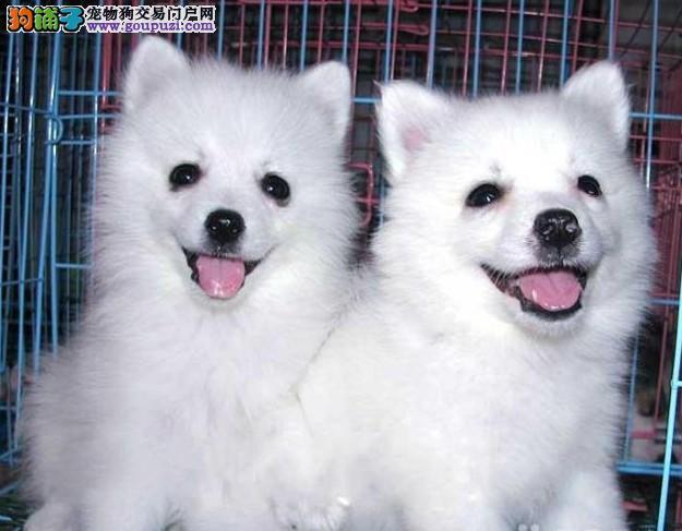 20221119134308_40836