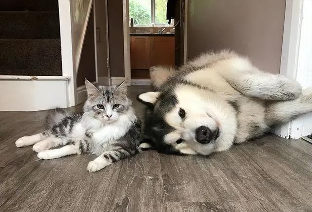 20221119135134_50559