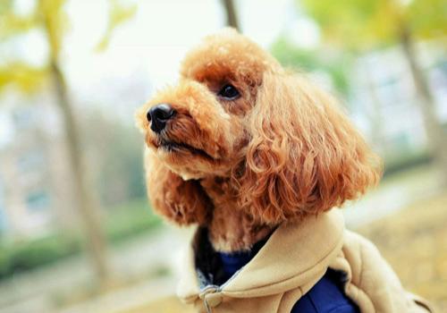 20221119135847_63416