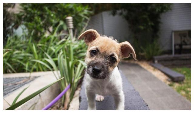 20221119140016_55379